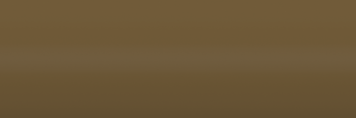 Mercedes-Benz Khakigrau 7308 color swatch