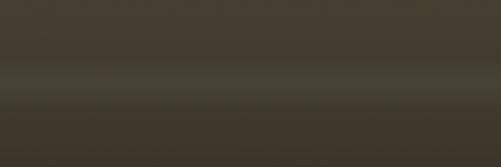 Toyota Olive Drab 6N3 color swatch