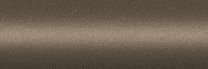 Lexus Beige Metallic C10 color swatch
