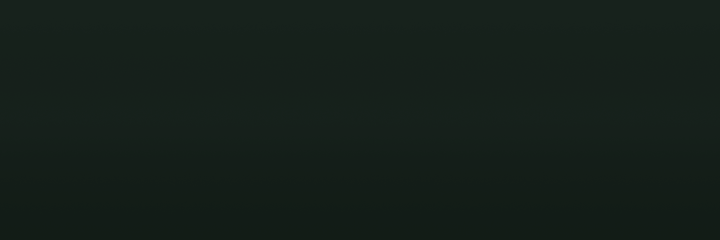 Audi Sherwoodgruen N2 color swatch