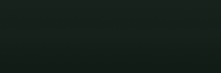 Audi Sherwoodgruen N2 color swatch