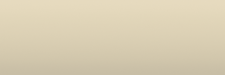 Toyota Ivory 4H8 color swatch