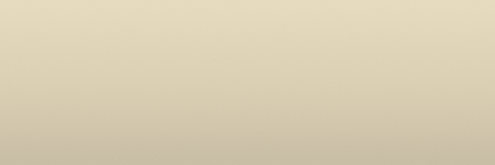 Toyota Ivory 4H8 color swatch