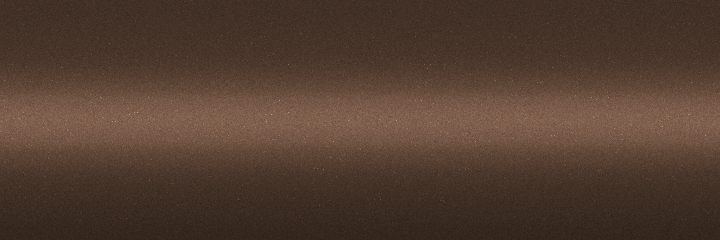 BMW Vermont Bronze Metallic C1Z color swatch