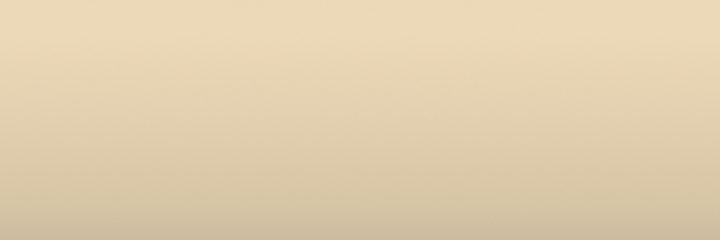 Mercedes-Benz Weiss Ambulance 027 color swatch
