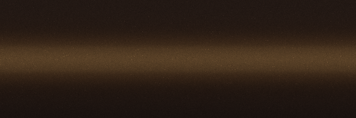 Suzuki Dignity Brown II Metallic ZQU color swatch
