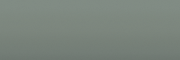 Volvo Grey 91719 color swatch