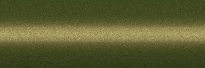 Nissan Olive Green Metallic J10 color swatch