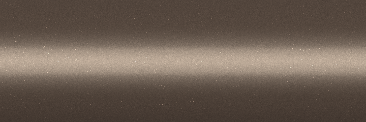 Chevrolet Light Autumnwood Metallic 100B color swatch