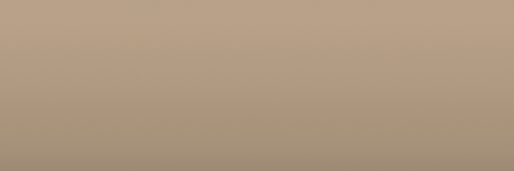 Toyota Beige 4Q4 color swatch