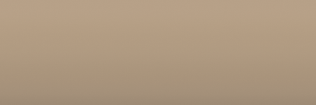 Toyota Beige 4Q4 color swatch