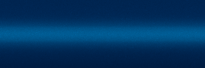 Ford Silk Metallic SL color swatch