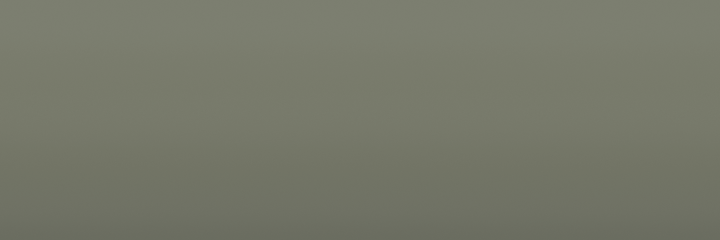 Mercedes-Benz Zementgrau 7303 color swatch