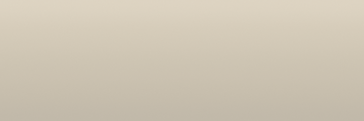Fiat Preto Vulcano 806 color swatch