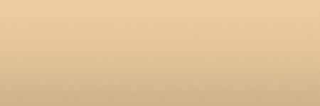 Volkswagen Manila Beige LE1T color swatch