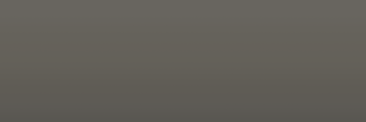 Ford Diamond White 6347 color swatch