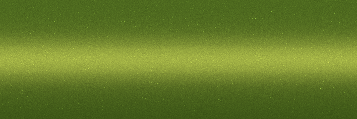 Audi Vipergruen Metallic 98B color swatch