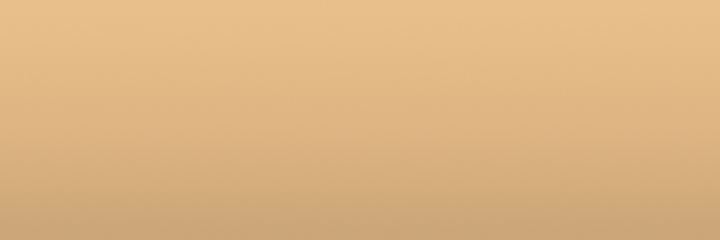 Ford Light Tan 8H color swatch