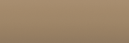 Audi Bahia Beige Y1M color swatch