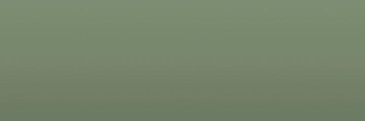 Toyota Breath Green 1654 color swatch