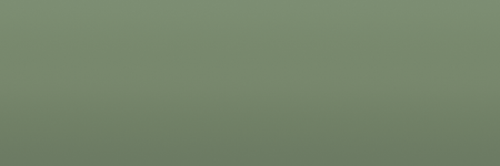 Toyota Breath Green 1654 color swatch