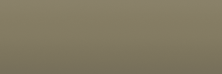 Nissan Grayish Olive JG0 color swatch