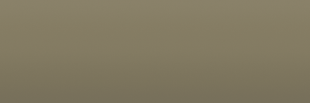 Nissan Grayish Olive JG0 color swatch