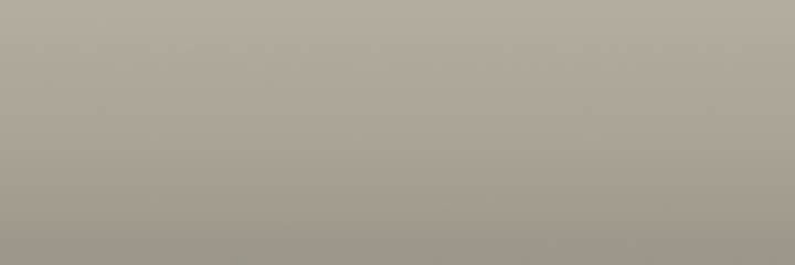 Porsche Linen Gray 60M color swatch