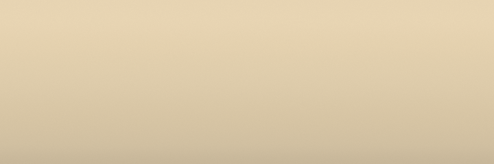 Ford Frosted Glass Metallic P9 color swatch