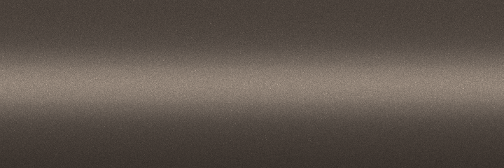 Volkswagen Antelope Metallic A8Z color swatch