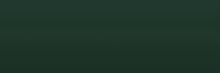 Mercedes-Benz Irishgruen 6449 color swatch