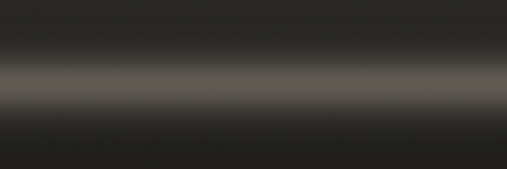 Volkswagen Terra Brown Metallic B1V color swatch