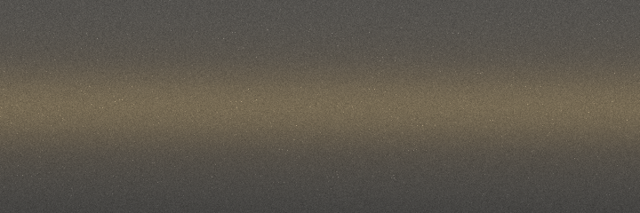 Eagle Char-Gold Satin Metallic PJ8 color swatch