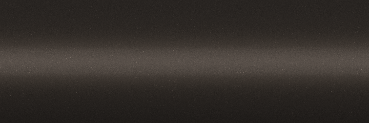 Nissan Grayish Brown Metallic CAM color swatch
