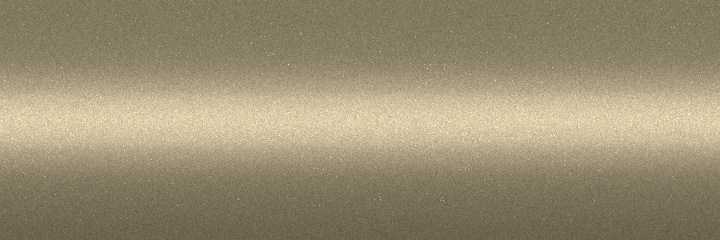 Nissan Papyrus Beige Metallic ZW5 color swatch