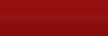 Toyota Palmera Gray Metallic 1421 color swatch