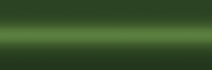 Porsche Palma Green Metallic L95K color swatch