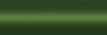 Porsche Palma Green Metallic L95K color swatch