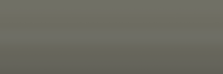 Nissan Light Grey D02-M2 color swatch