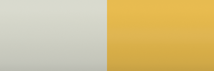 Ford Magnum Grey Metallic C6 color swatch