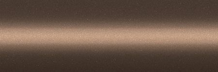 Lexus Light Brown Mica 4S5 color swatch