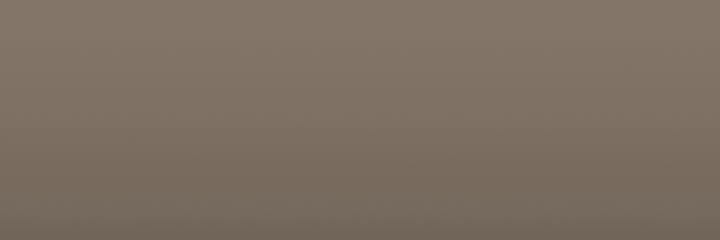 Toyota Medium Tan 4M5 color swatch