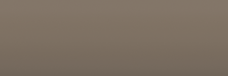 Toyota Medium Tan 4M5 color swatch