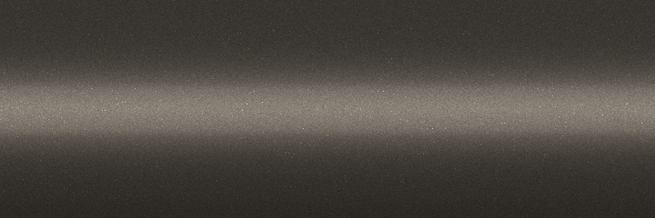 Nissan Brownish Silver Metallic CJ7 color swatch
